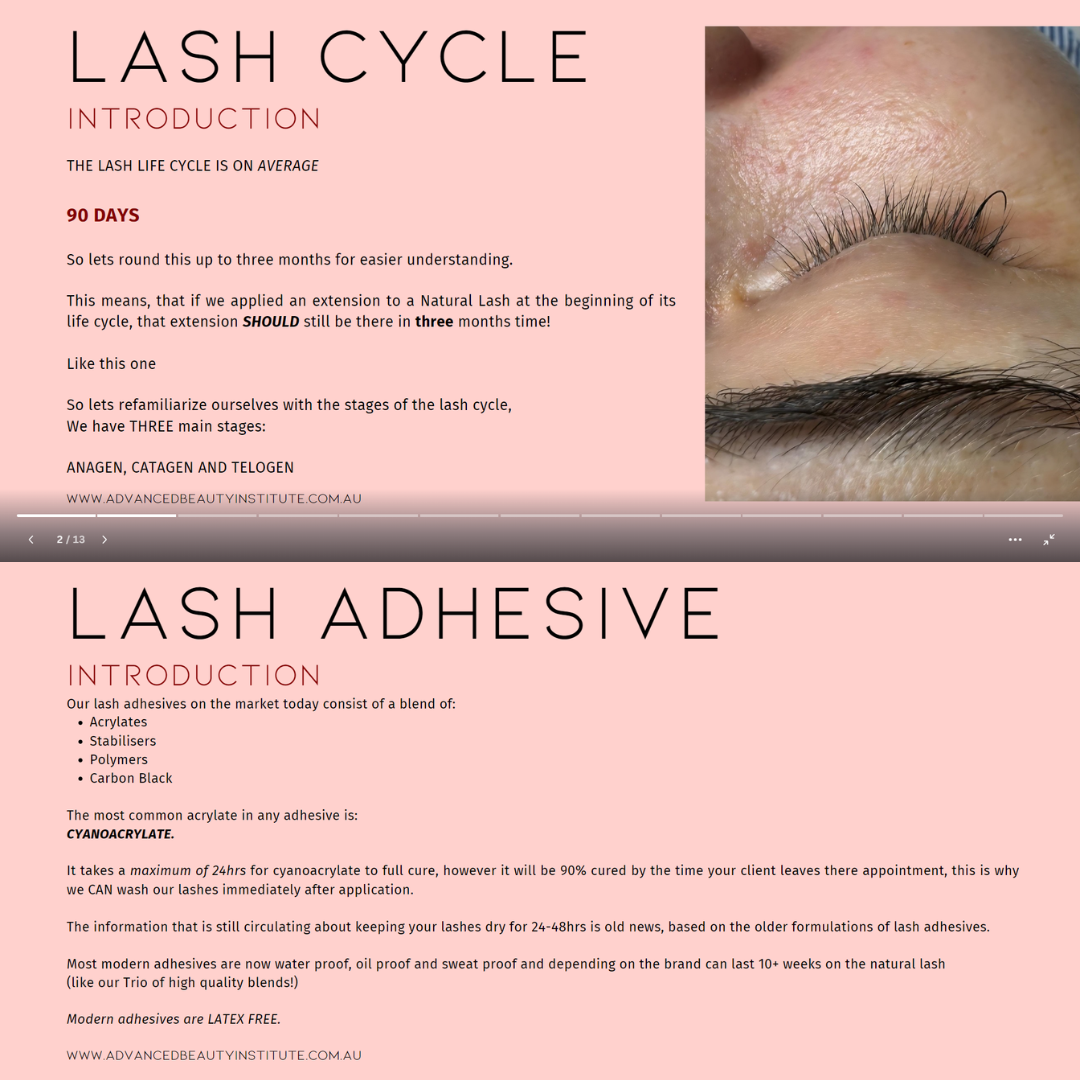 Beyond The Bond - Lash Retention Online Course