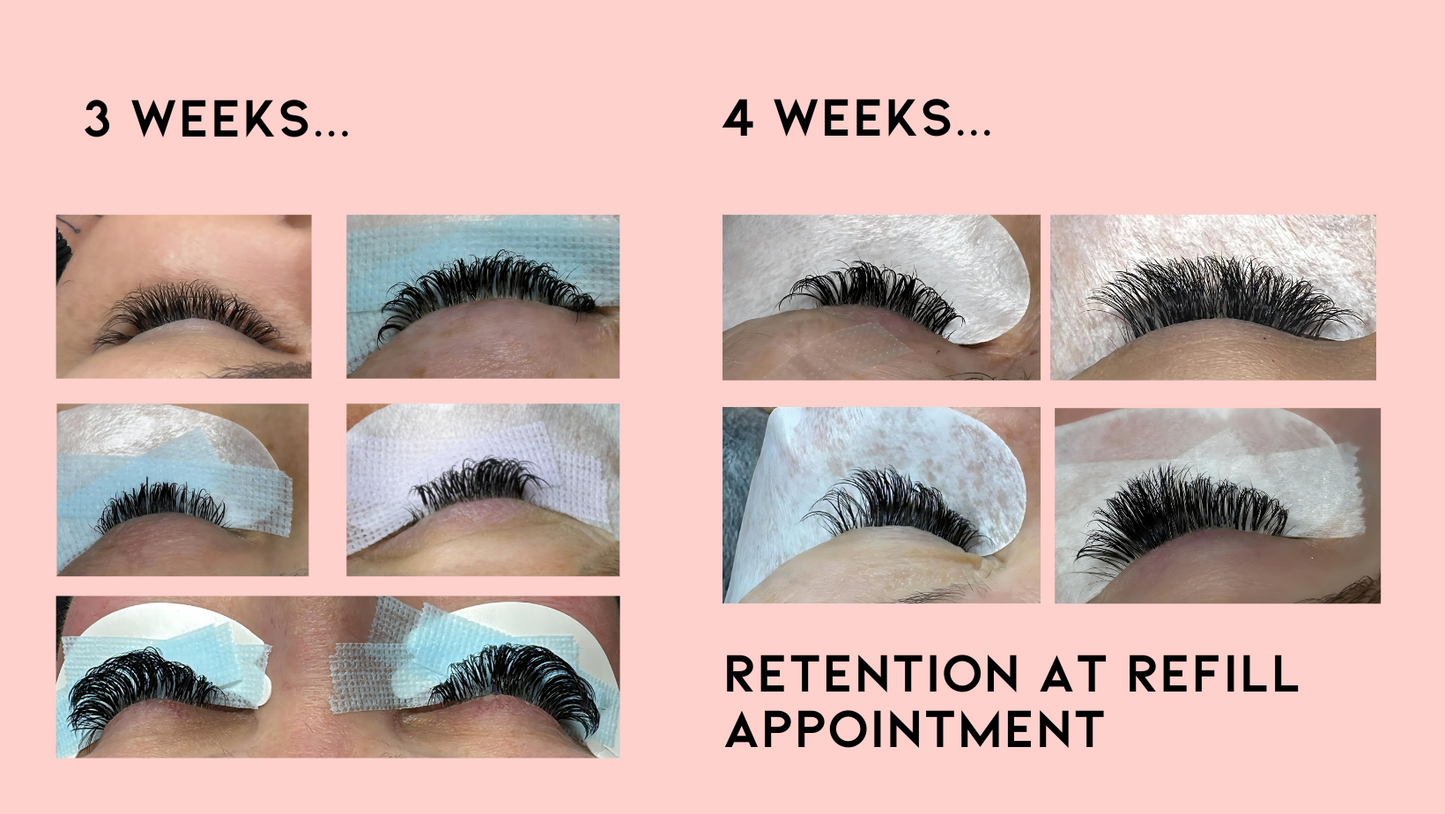 Beyond The Bond - Lash Retention Online Course